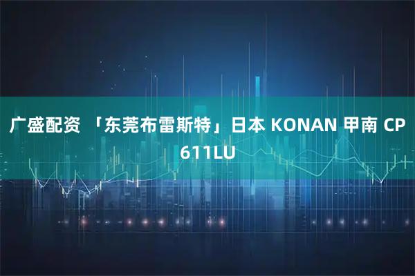 广盛配资 「东莞布雷斯特」日本 KONAN 甲南 CP611LU