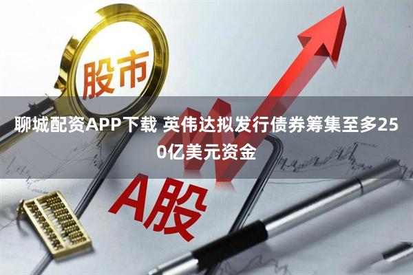 聊城配资APP下载 英伟达拟发行债券筹集至多250亿美元资金